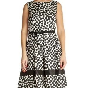 NWT Danny & Nicole Black and White A-Line Midi Dress